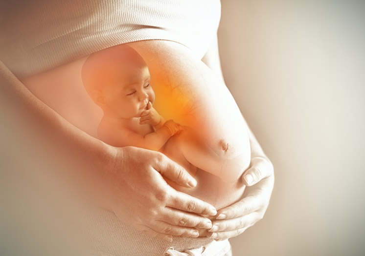 Trải Nghiệm Đối Mặt Với Hạn Chế Tăng Trưởng Thai Nhi