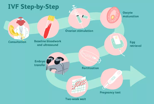 Thụ tinh trong ống nghiệm (IVF): Hướng dẫn toàn diện