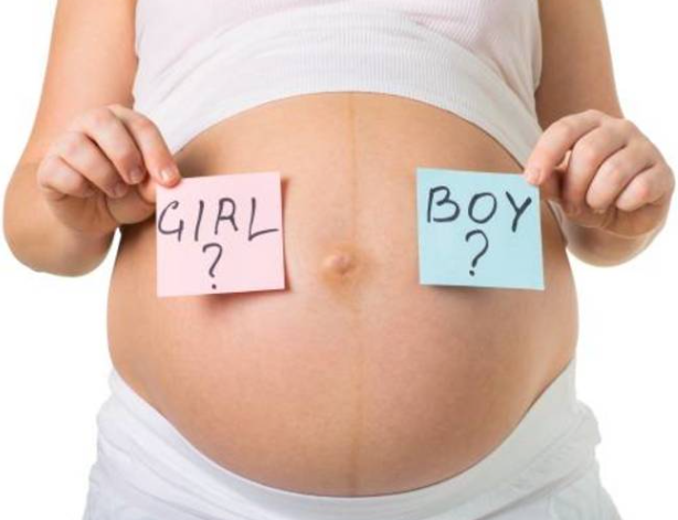 TƯ THẾ QUAN HỆ CÓ THỂ QUYẾT ĐỊNH GIỚI TÍNH THAI NHI? PHÂN TÍCH DƯỚI GÓC NHÌN KHOA HỌC